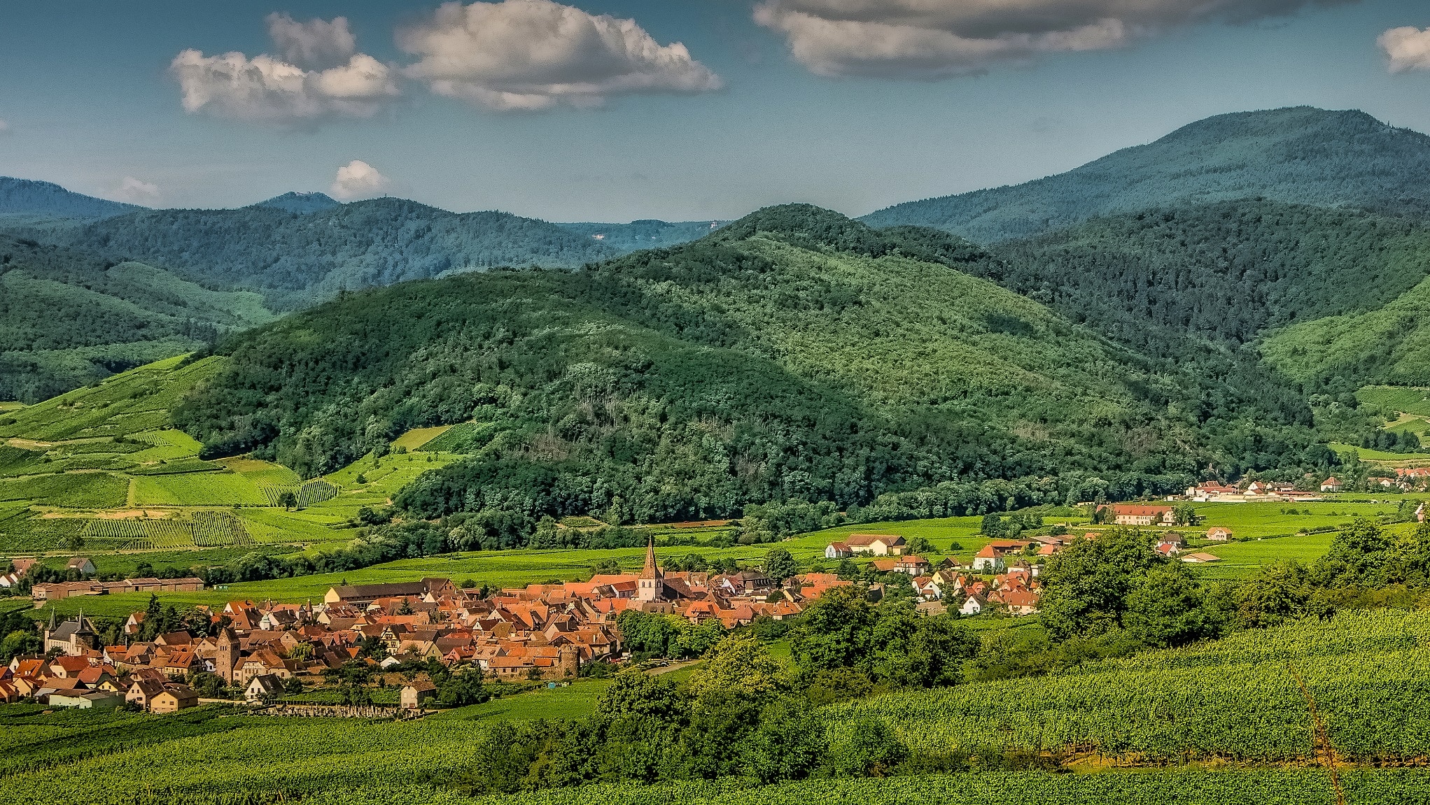 plaine d'alsace