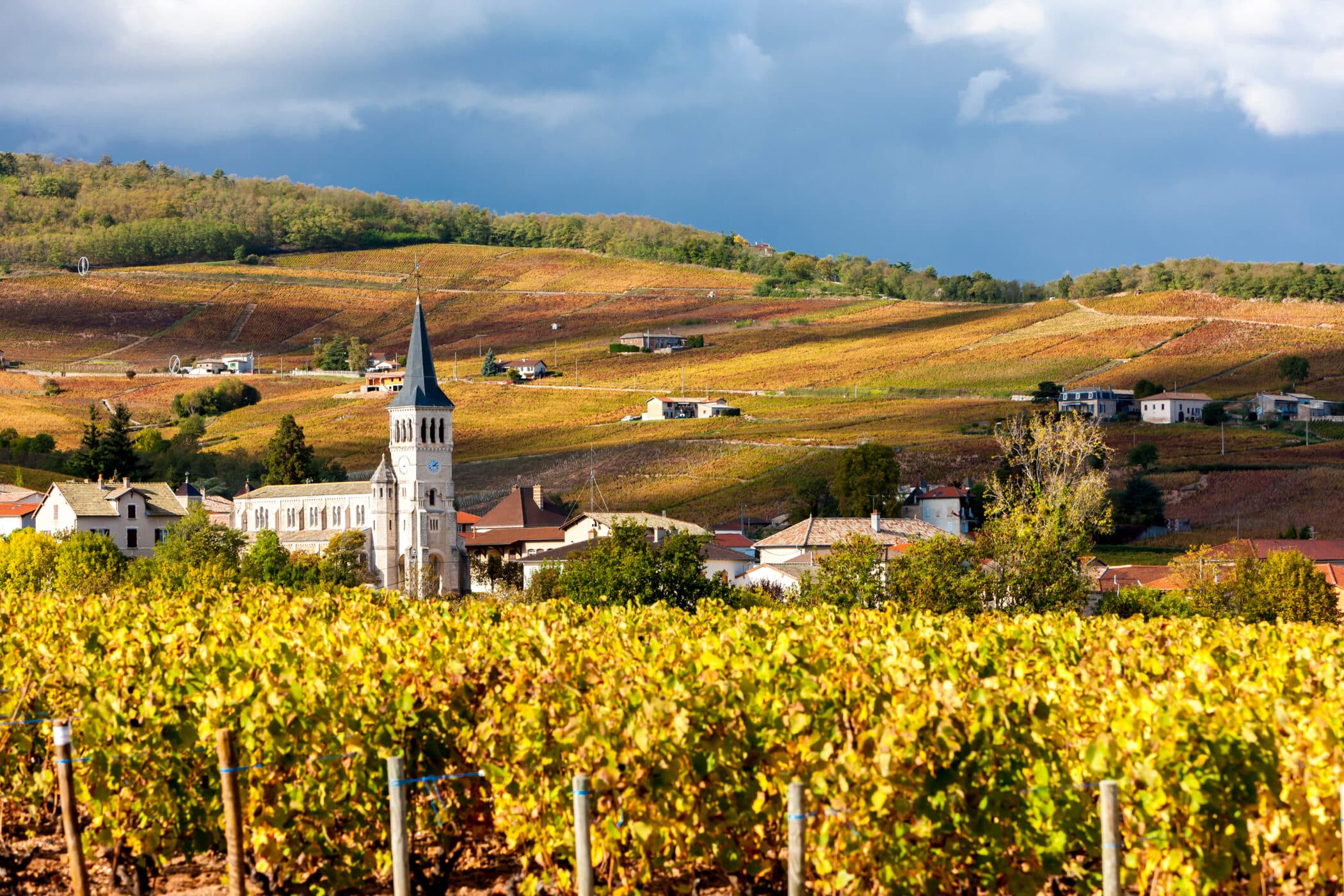 randonnée dans le beaujolais